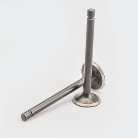 TVS Apache RTR 160 Engine valves — two-wheeler spare part for export